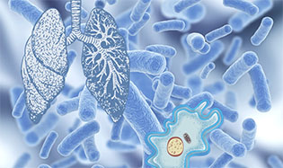 Что нужно знать о легионеллёзе. Предупрежден - значит вооружен!