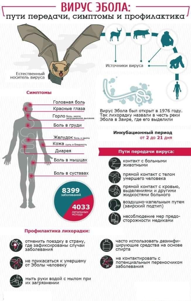 Эбола (002).jpg