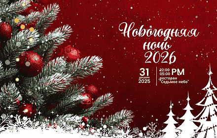 Новогодняя ночь 2026