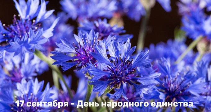 17 сентября 2023 года Беларусь отмечает государственный праздник – День народного единства. 