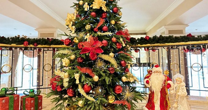 Новогодние каникулы с комфортом